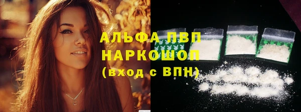 сатива Белокуриха