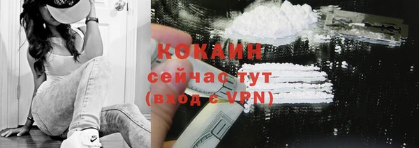 шишки Ростов