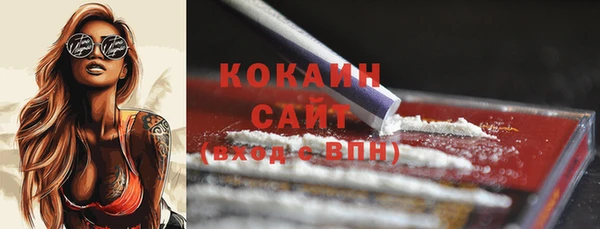сатива Белокуриха