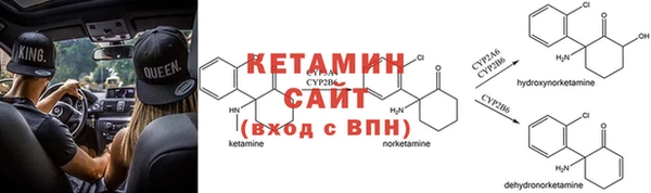 сатива Белокуриха
