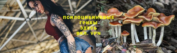 сатива Белокуриха