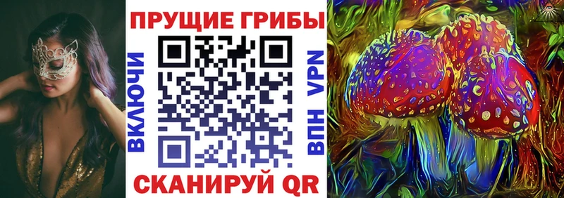 продажа наркотиков  Высоковск  Галлюциногенные грибы Psilocybine cubensis 